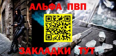 стаф Берёзовский