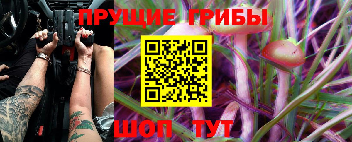 Псилоцибиновые грибы Psilocybine cubensis Большой Камень
