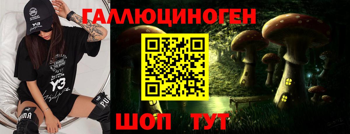 Галлюциногенные грибы ЛСД  Вход с VPN  Большой Камень 